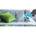 Disinfectant Spray & Solutions