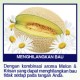SOS Hand Soap Fragrance Anti Bacterial - Melon Floral 4L