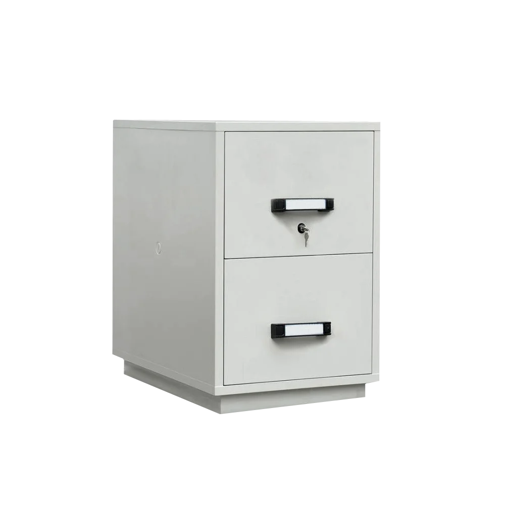 DATAFILE Filing Cabinet 2 Laci Tahan Api Standard