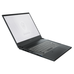 MSI WORKSTATION WS66 10TM 9S7-16V215-268 (i9-10980, 32GB (16GBx2), GDDR6 16GB, 2TB (1TB*2)SSD, WIN 10 HOM)